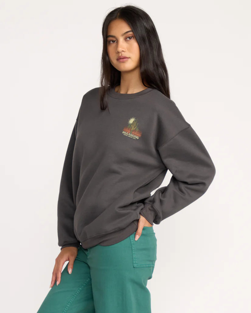 Desert Break Crewneck Sweatshirt