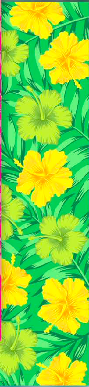 30" x 60" Terry Beach Towel