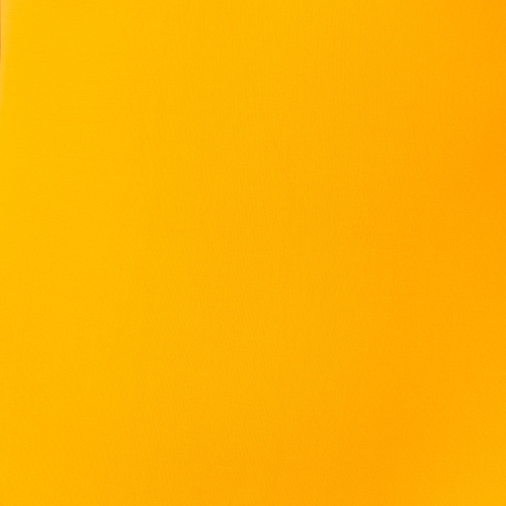 Camdyn Bitsy Bikini Bottom