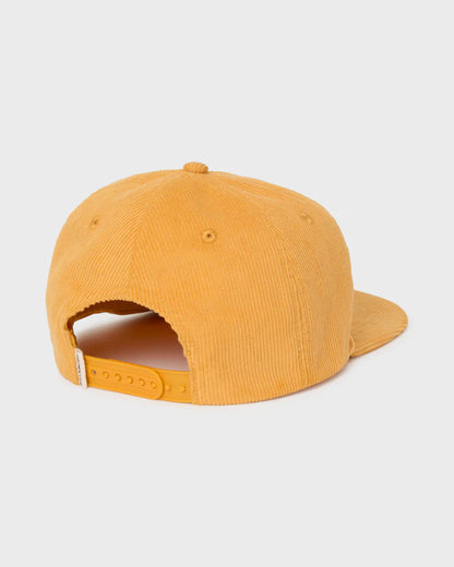 Grandpa trucker dad hat by Billabong