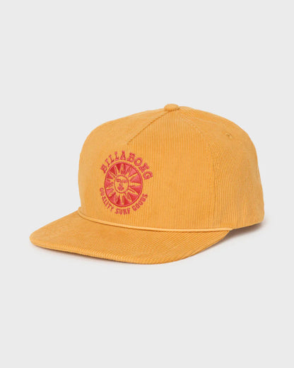 Grandpa trucker dad hat by Billabong