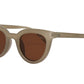 Canyon Sunglasses