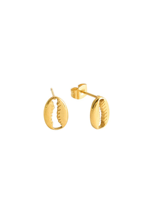 Cowrie Shell Studs