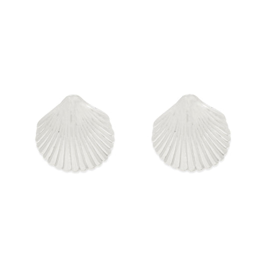 Seashell Stud Earrings