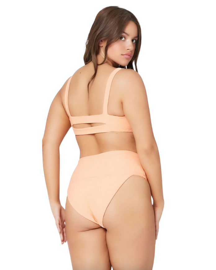 Desi Eco Highwaisted Bikini Bottom The Bikini Shoppe