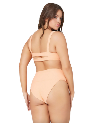 Desi Eco Highwaisted Bikini Bottom The Bikini Shoppe